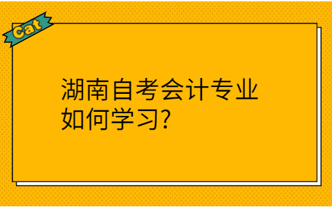 湖南自考会计学习方法