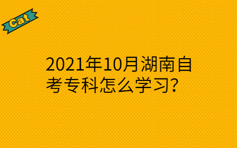 2021年10月湖南自考专科