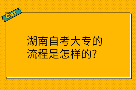 湖南自考大专的流程