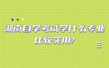 湖南自学考试学什么专业比较实用?